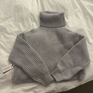 Aritzia Cropped Turtle Neck